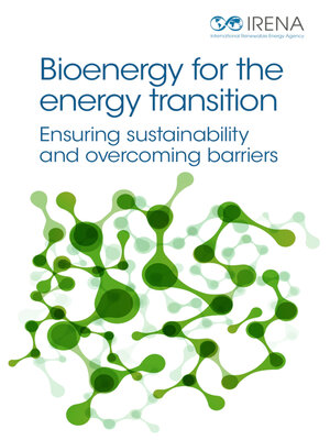 cover image of Bioenergy for the Energy Transition